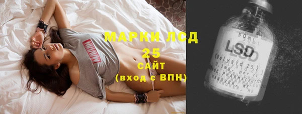 сатива Алзамай