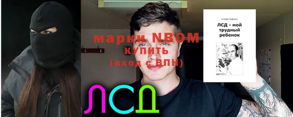 сатива Алзамай