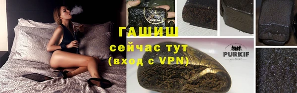 сатива Алзамай