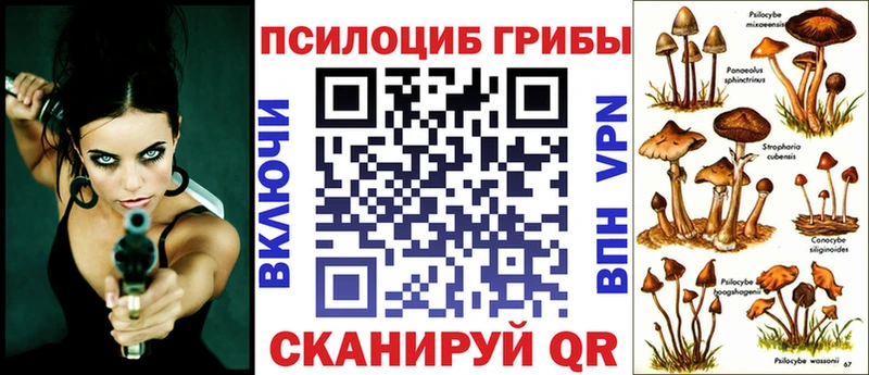 omg Данилов Псилоцибиновые грибы MAGIC MUSHROOMS
